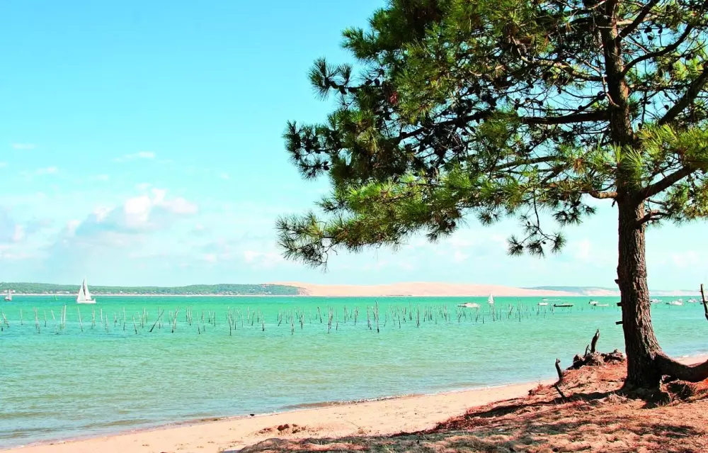 VVF Lège-Cap-Ferret Útvonalterv