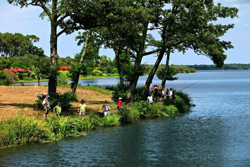 Campeggio LANDES OCEANES 8 Stelle★★★★★★★★