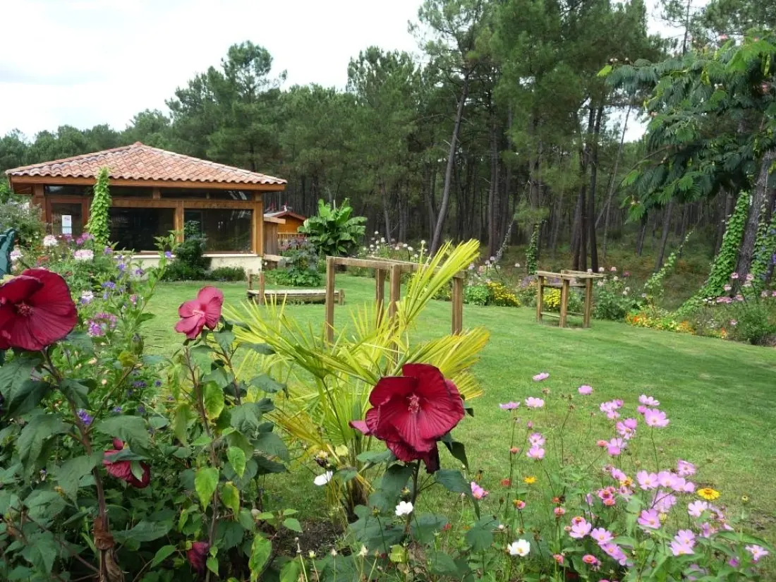 Camping LANDES OCEANES 4 Sterren★★★★