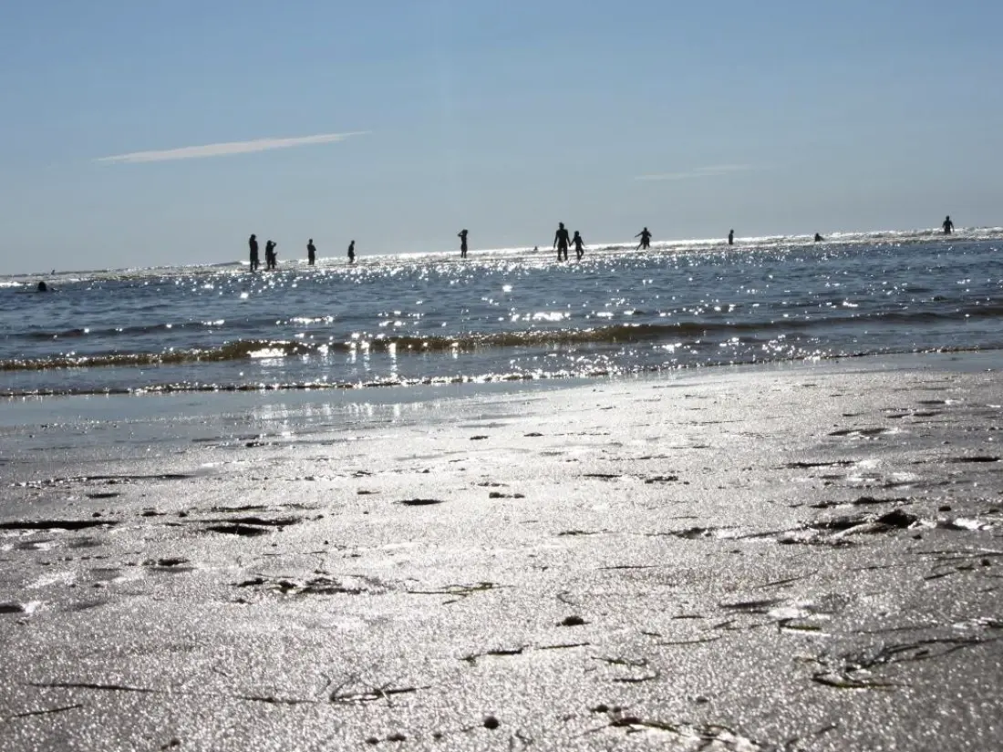 Camping LANDES OCEANES 4 Sterren★★★★
