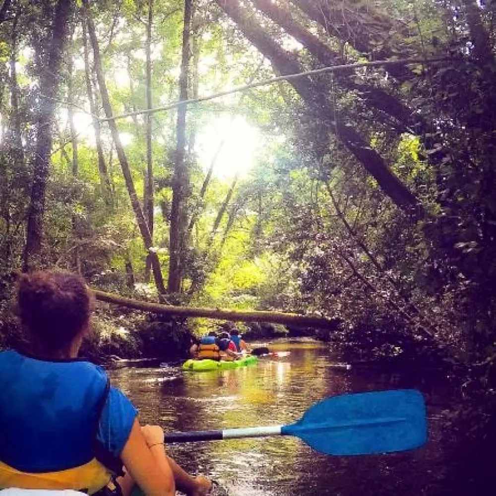 Campeggio LANDES OCEANES 8 Stelle★★★★★★★★