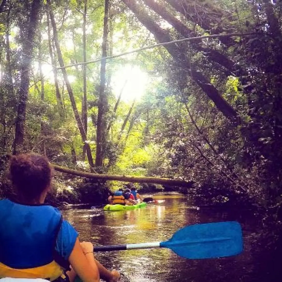 Camping LANDES OCEANES 4 Sterren★★★★