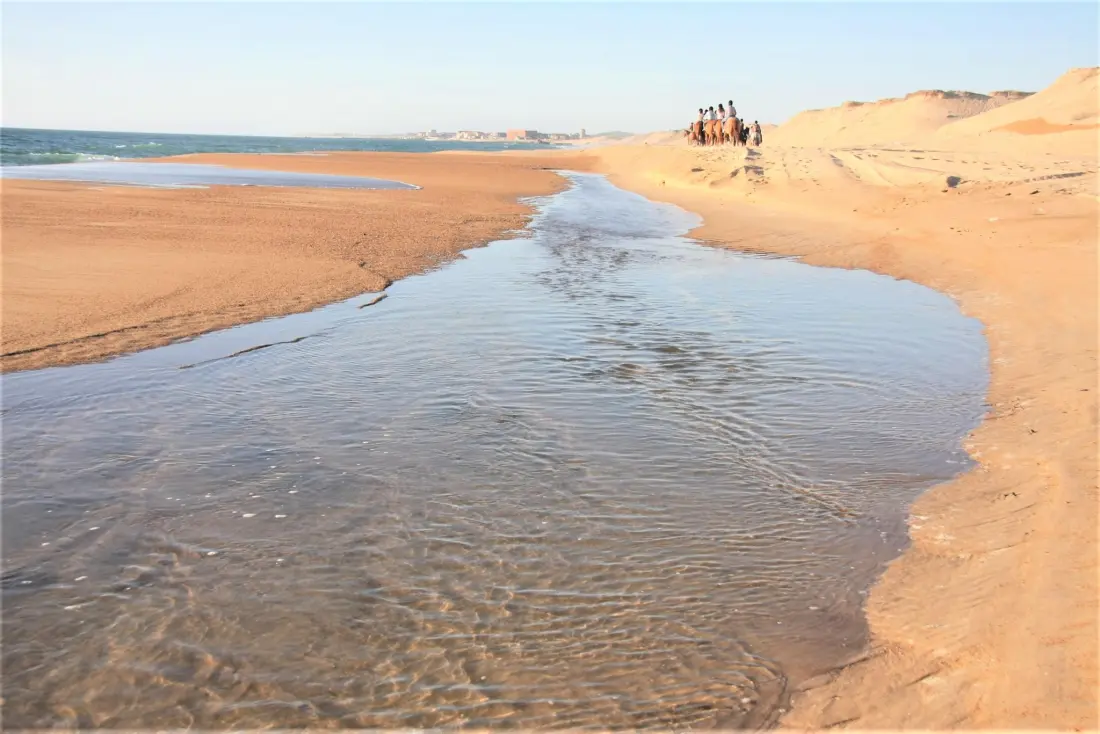 Camping LANDES OCEANES 4 Sterren★★★★