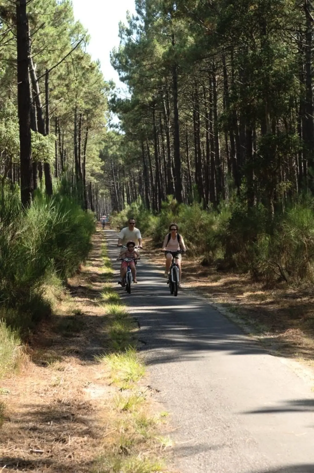 Camping LANDES OCEANES 4 Sterren★★★★