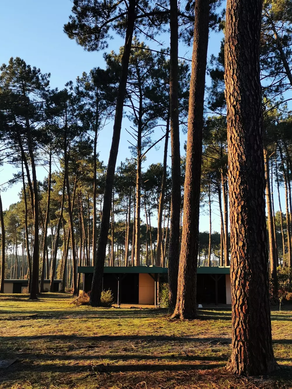 Les Pins Village Vacances2 Sterne★★ 2 Sterne★★