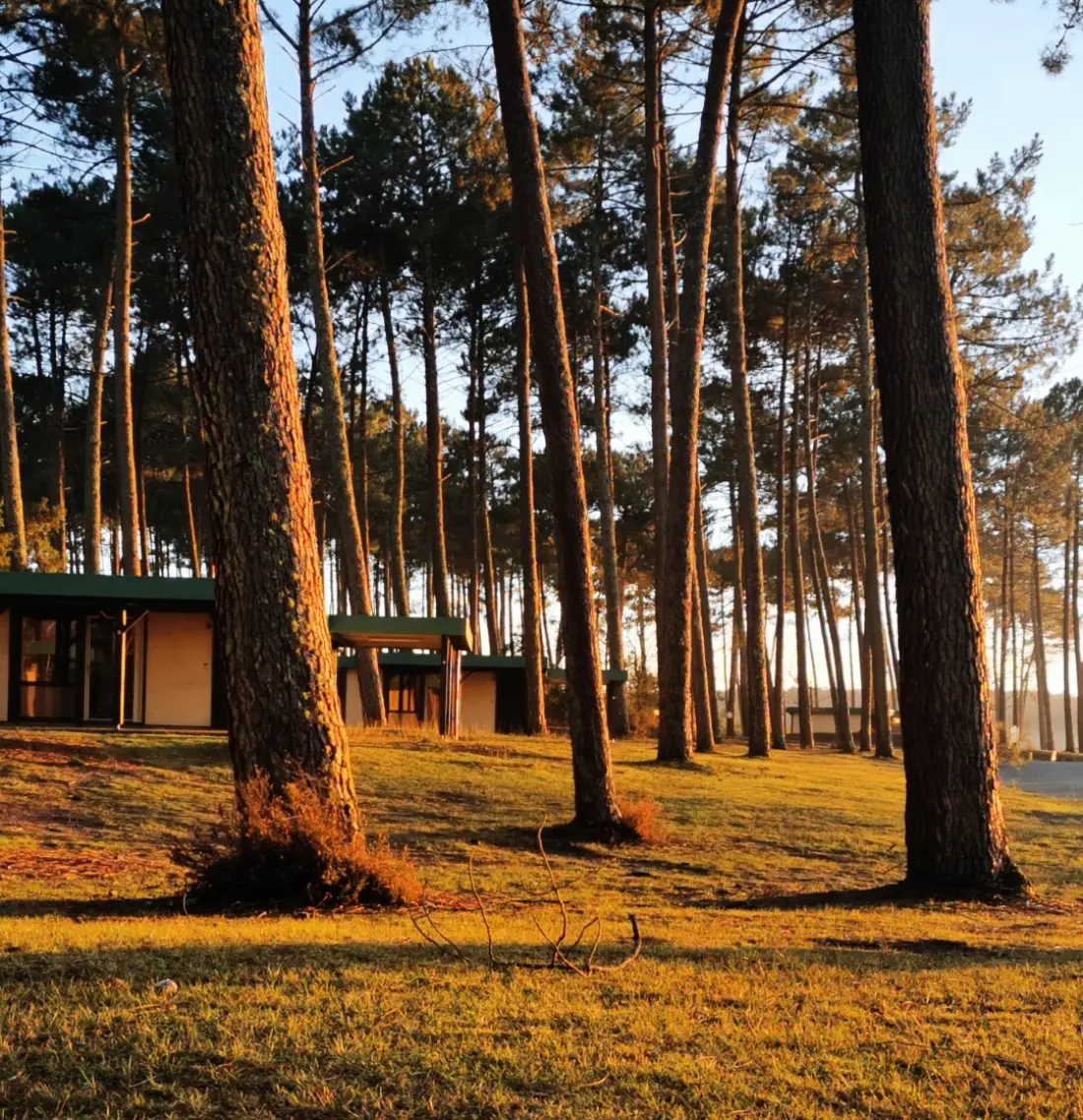 Les Pins Village Vacances 1 Sterren★