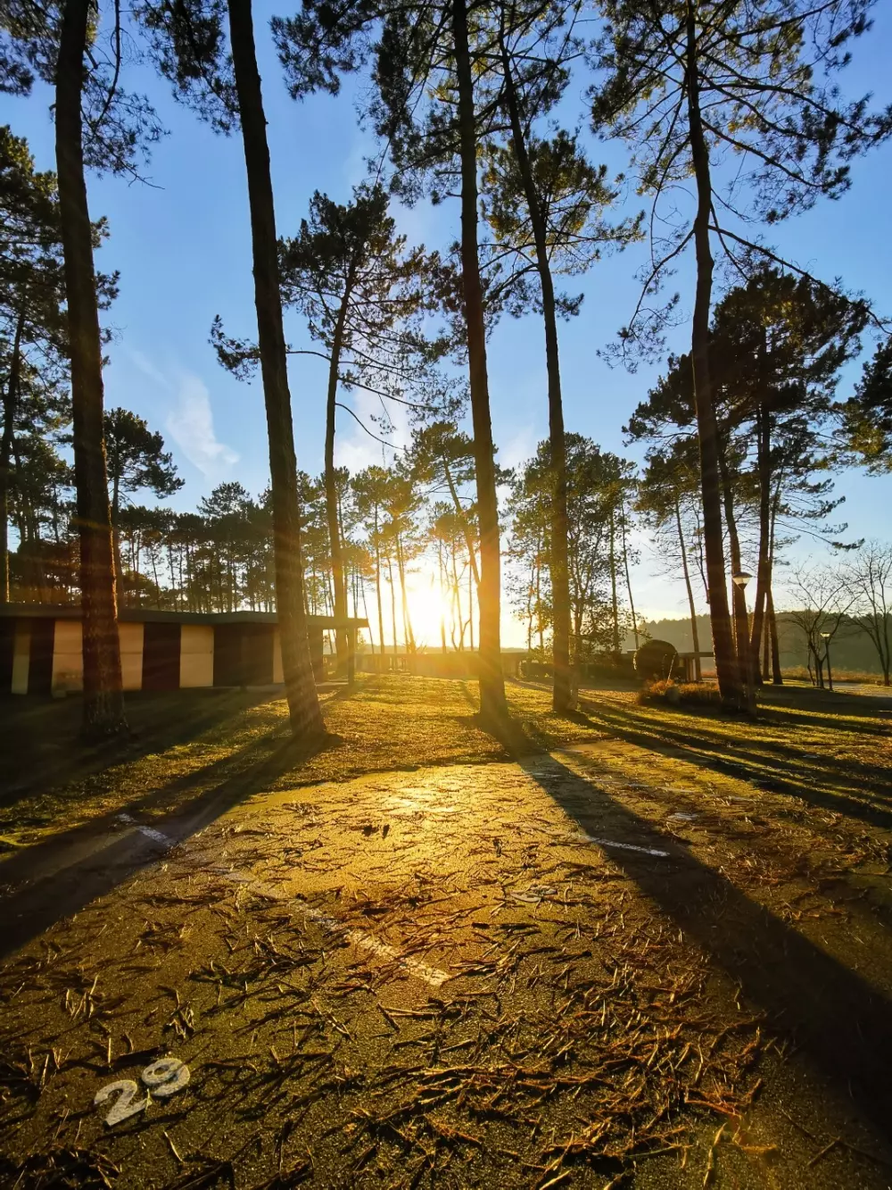 Les Pins Village Vacances2 Sterne★★ 2 Sterne★★