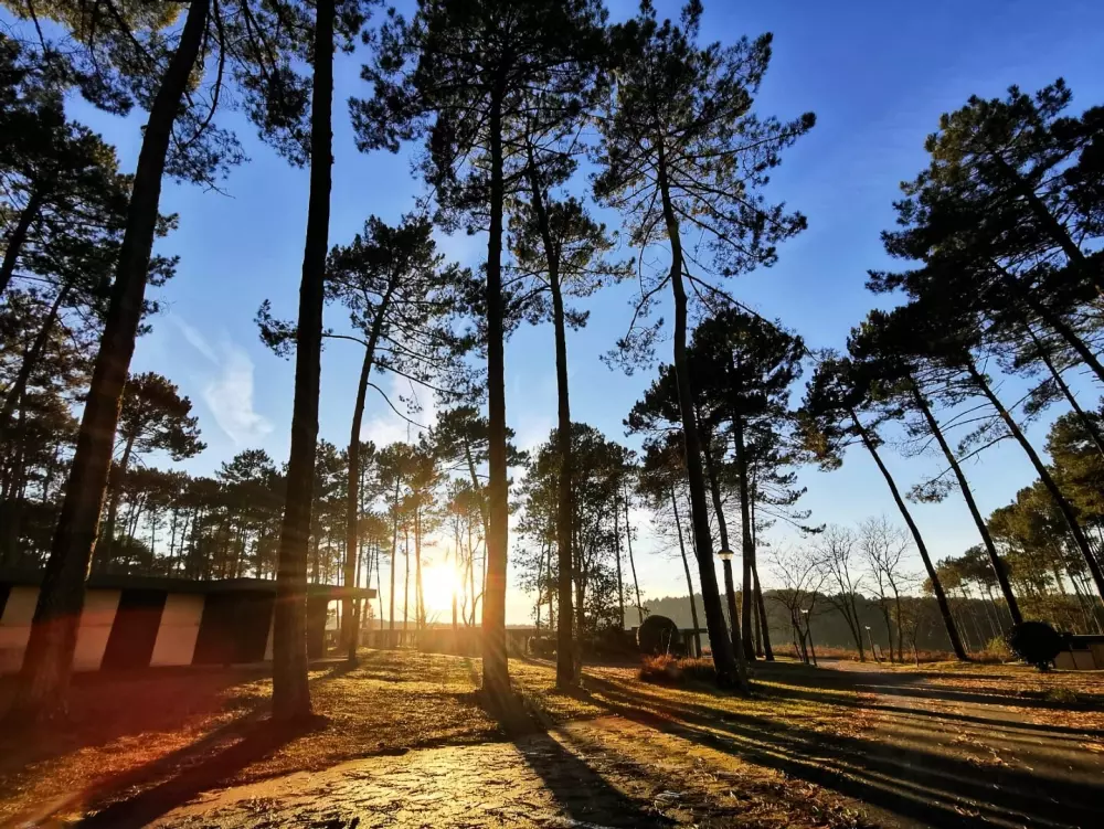 Les Pins Village Vacances2 Sterne★★ 2 Sterne★★