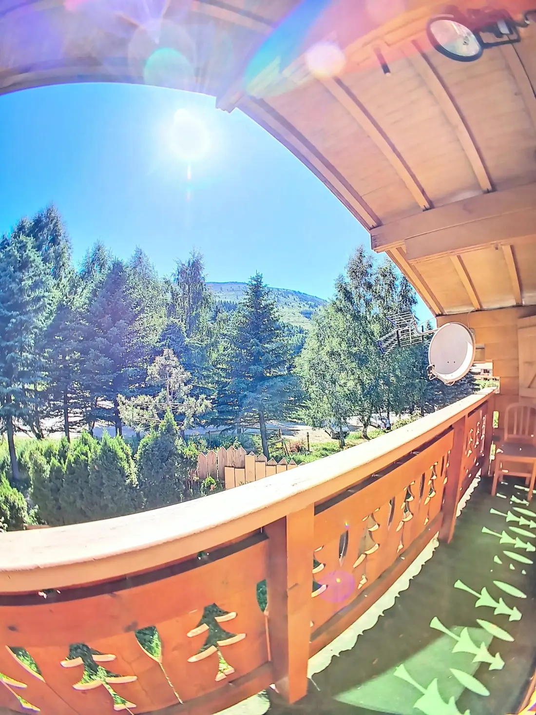 Brown Bear Residence