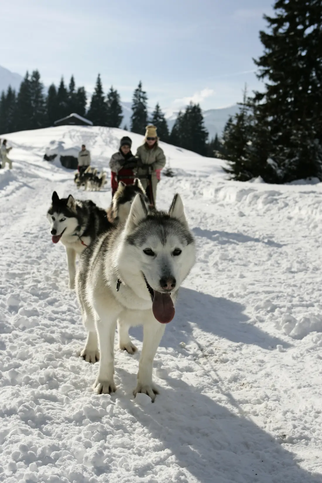 Apartmanok Les Carroz-d'Arêches