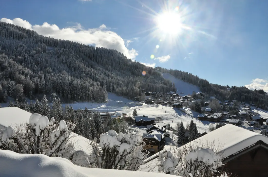 Chalets Les Carroz-d'Arêches