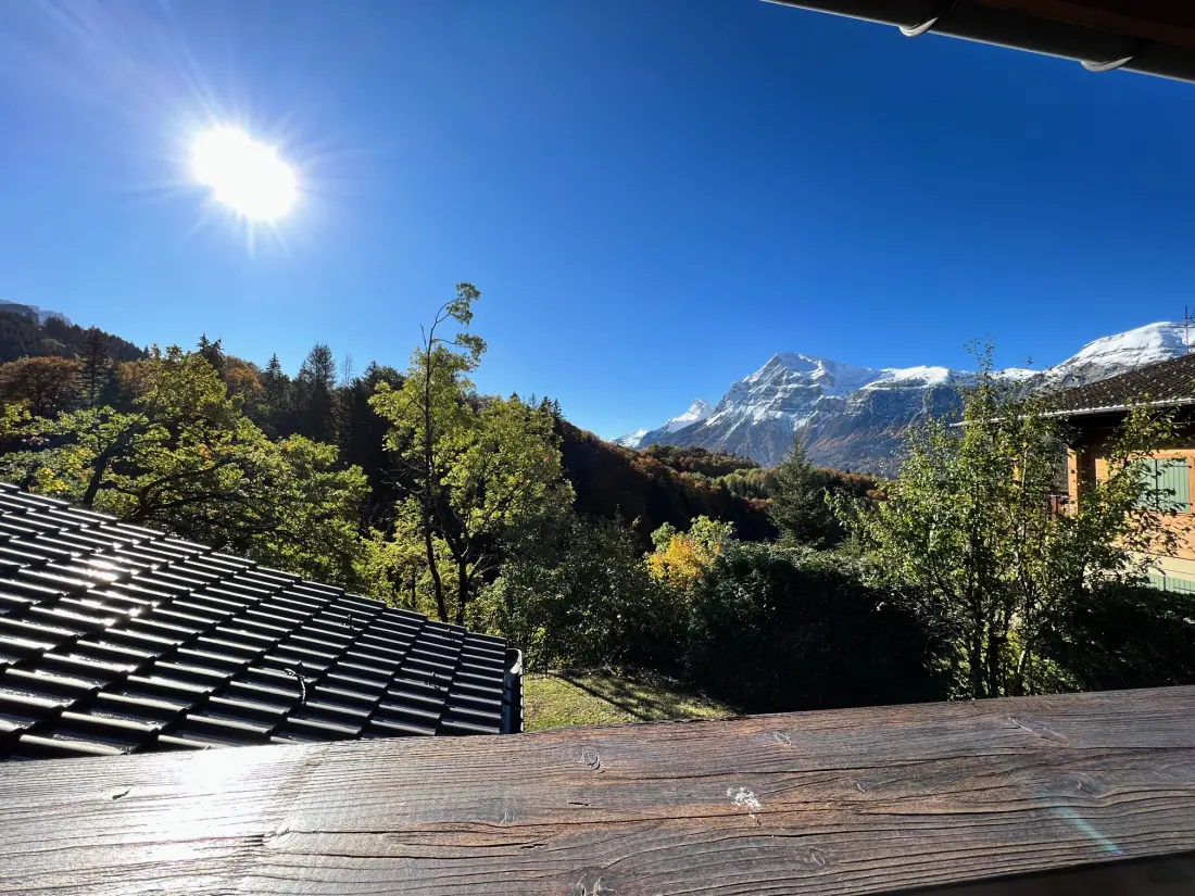 Chalets Les Carroz-d'Arêches