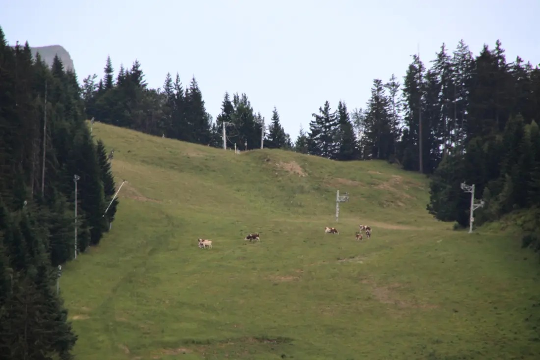 Stúdió Les Carroz-d'Arêches