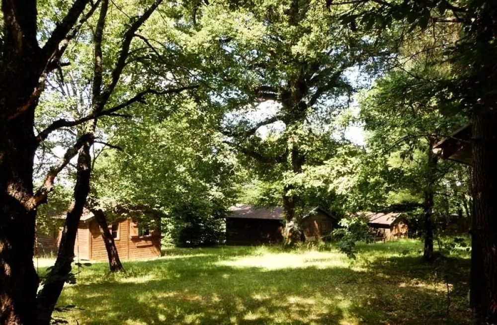 Camping Brin d'Amour 3 Sterren★★★