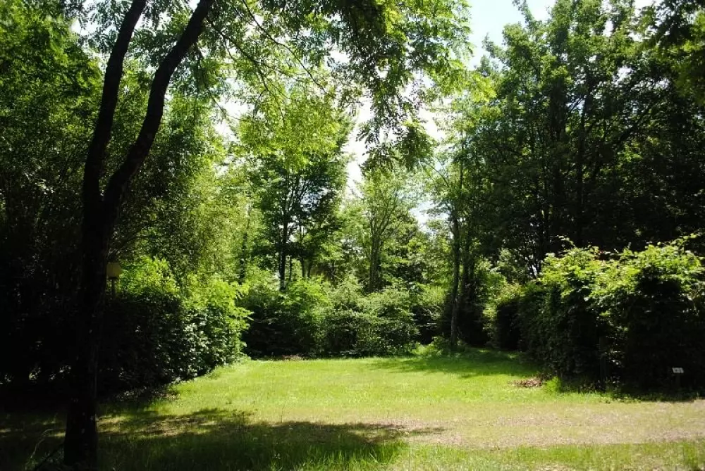 Camping Brin d'Amour 3 Sterren★★★