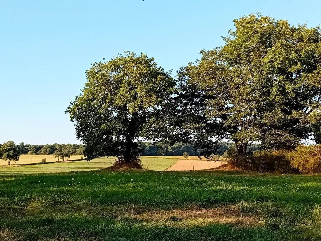 Gîte de France Die authentischen 3 Ohren