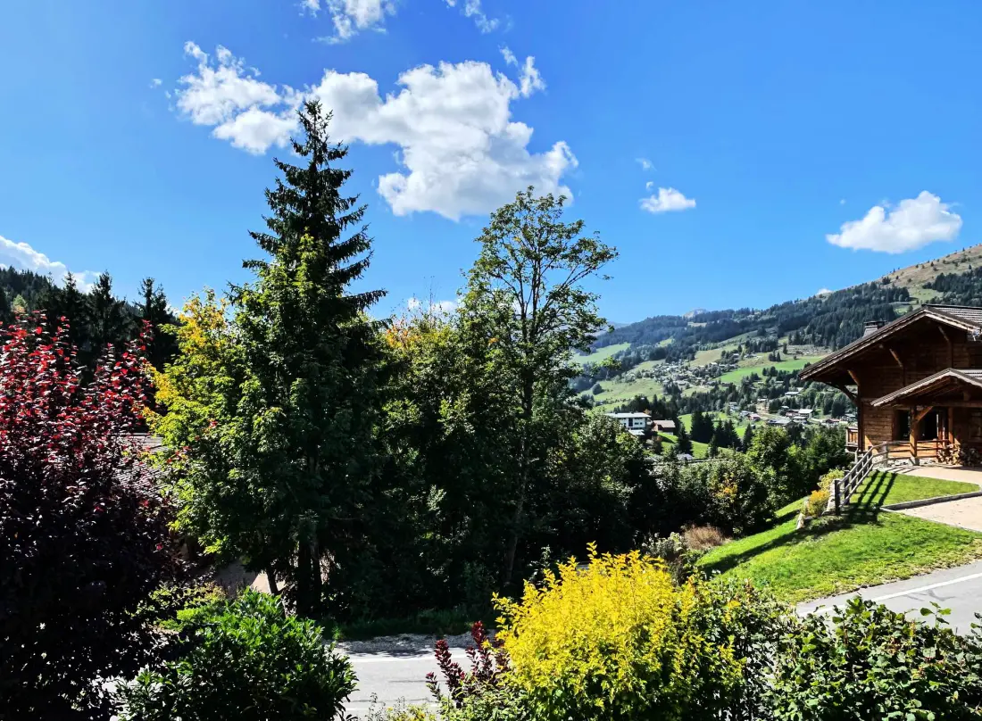 Chalet Le Replan