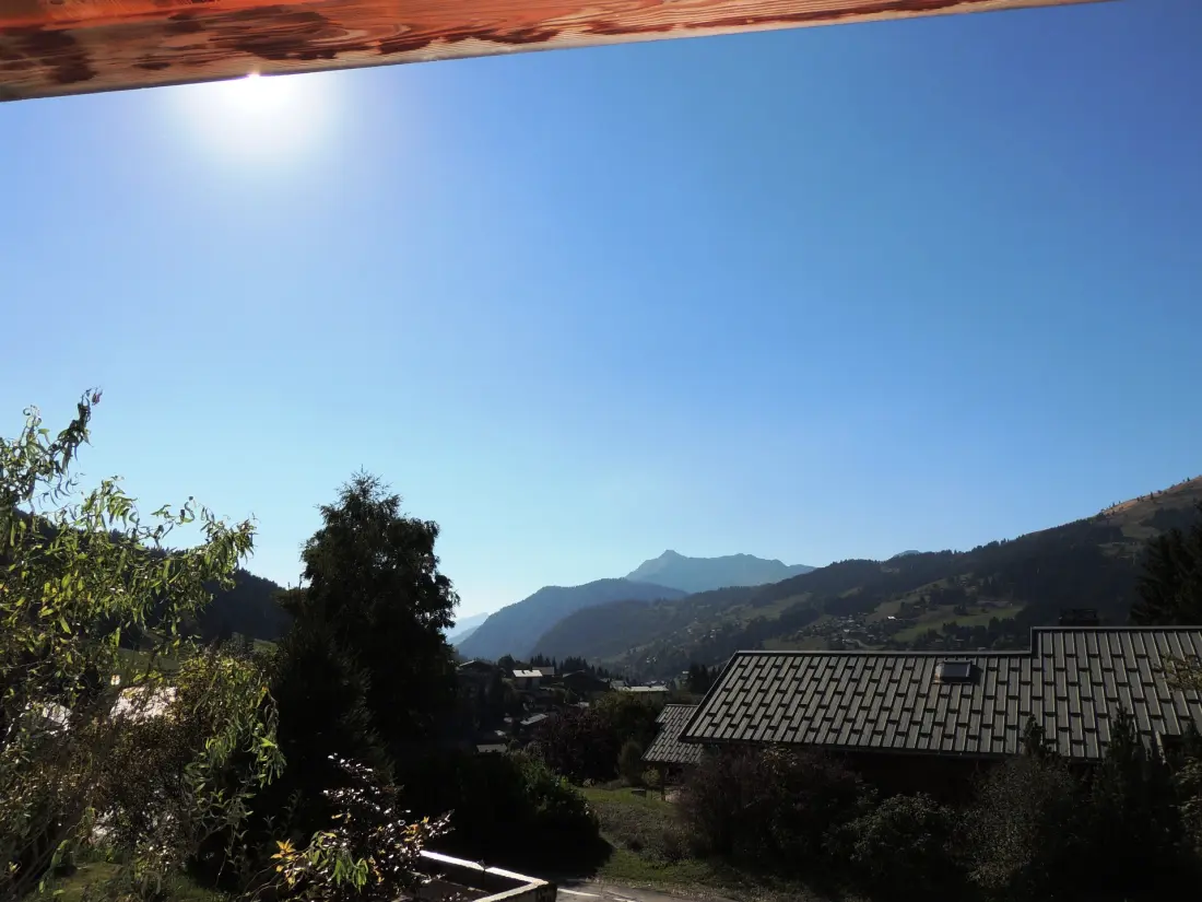 Chalet Les Sauvageons