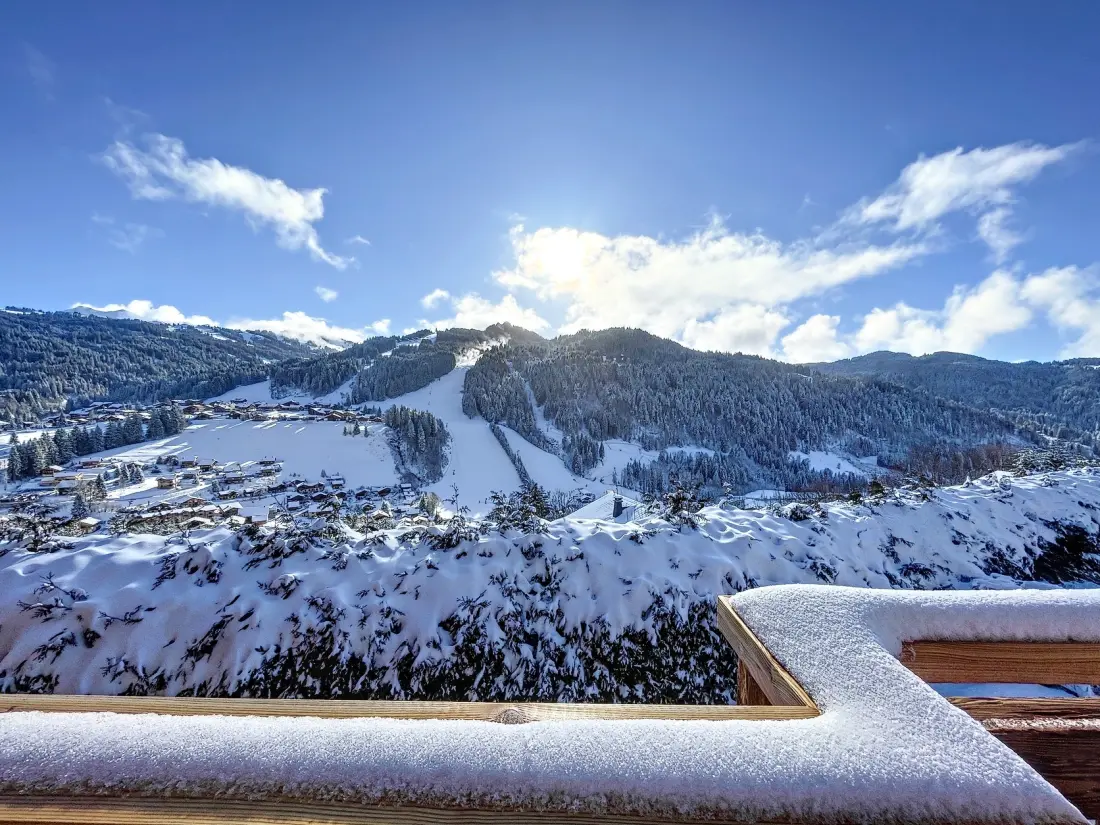 Chalets Les Gets