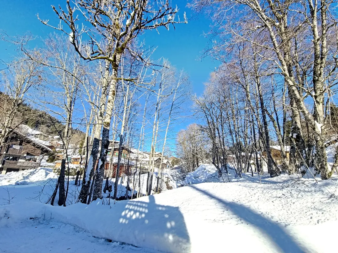 Chalets Les Gets