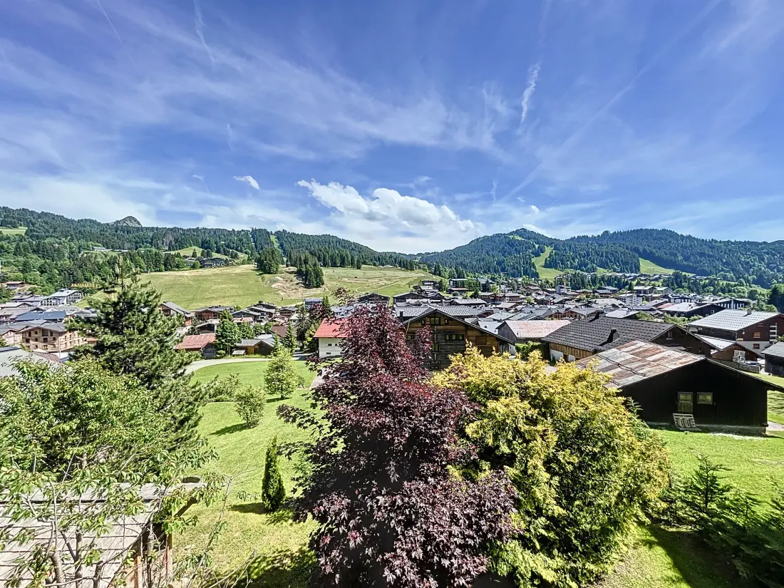 Chalets Les Gets