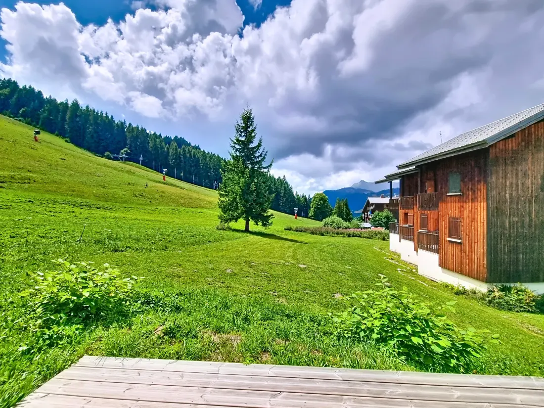 Chalets Les Gets