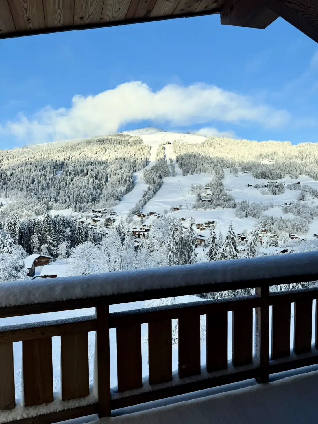 Chalets Les Gets