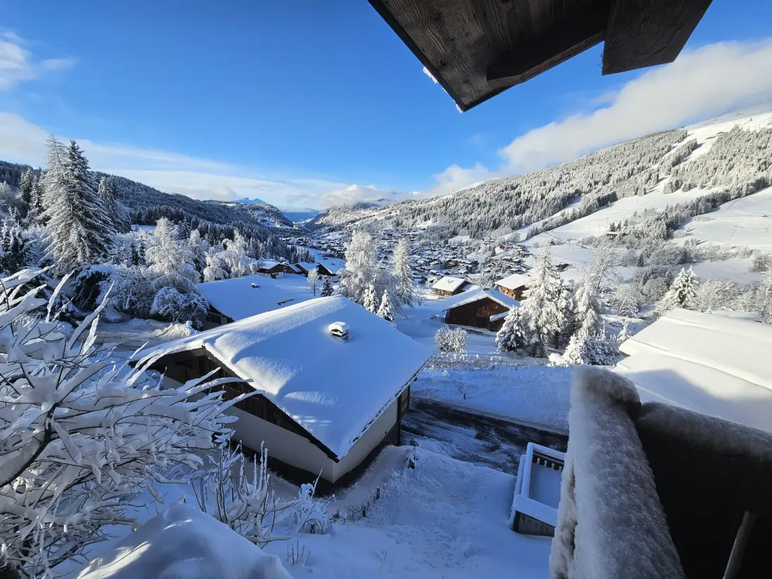 Chalets Les Gets