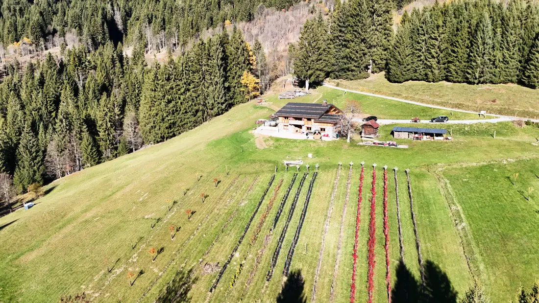 Chalets Les Gets