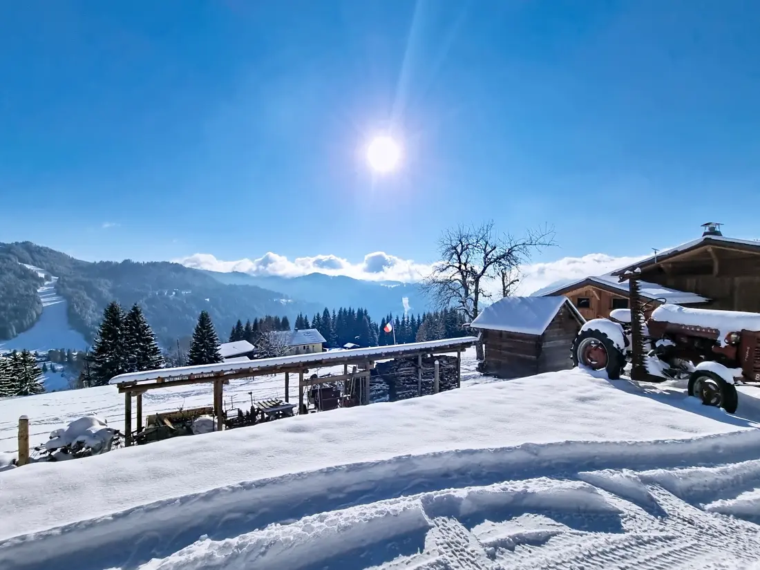 Chalets Les Gets