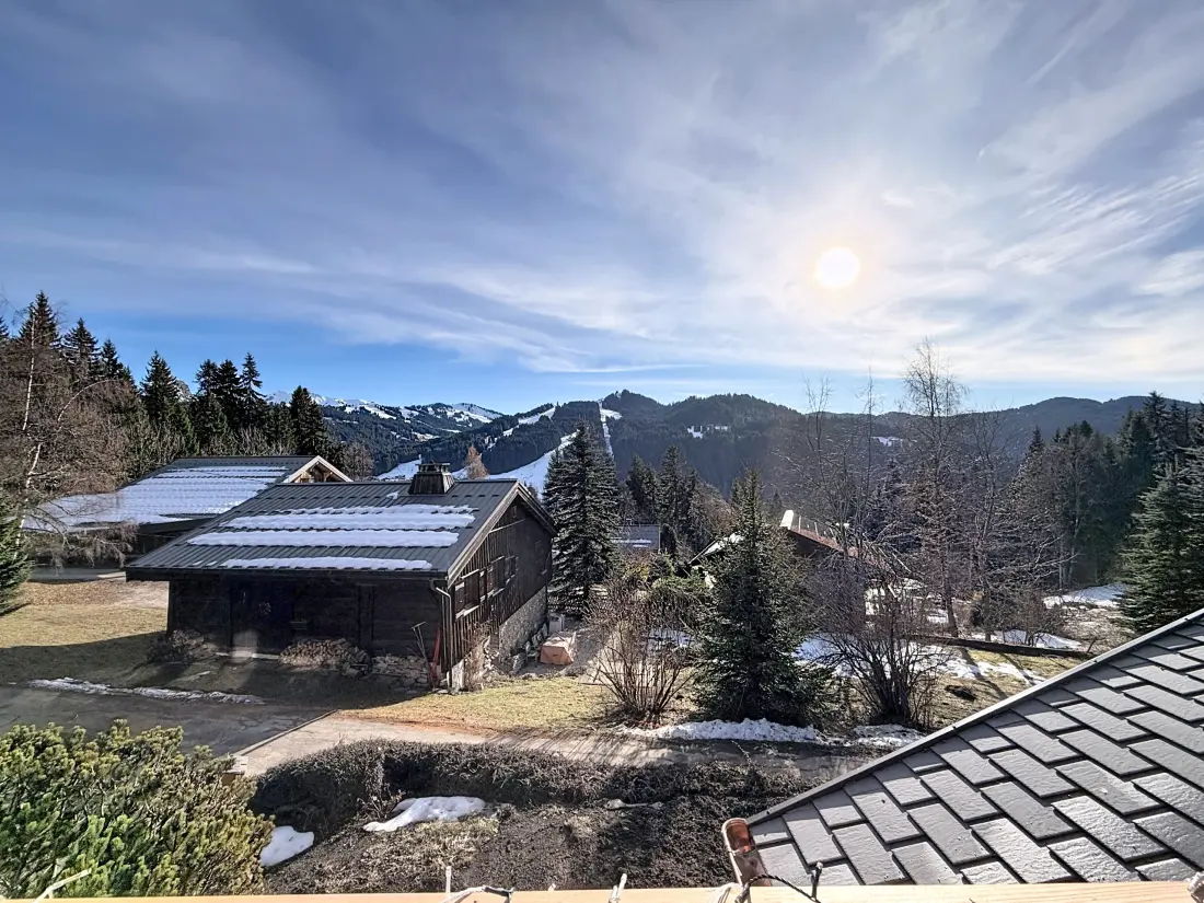 Chalets Les Gets