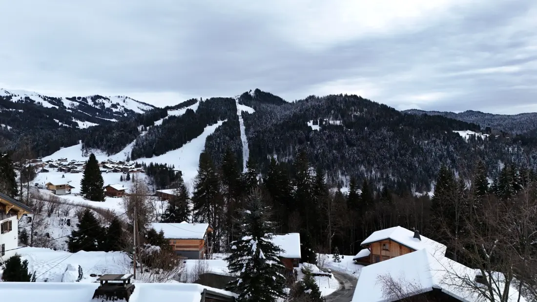 Chalets Les Gets