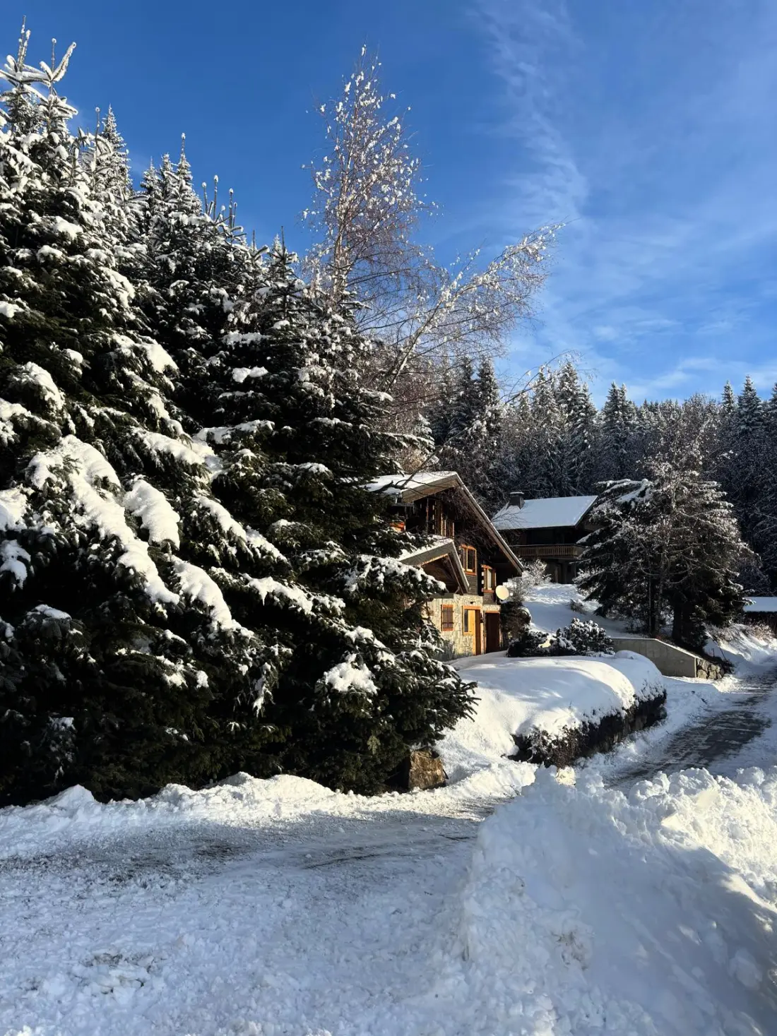 Chalets Les Gets