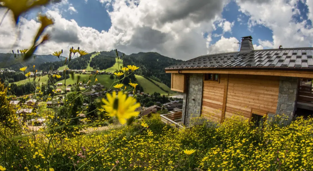 Chalet Chantemerle