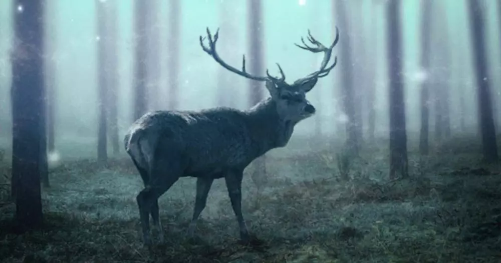 Camping de l'Orival3 Sterren★★★