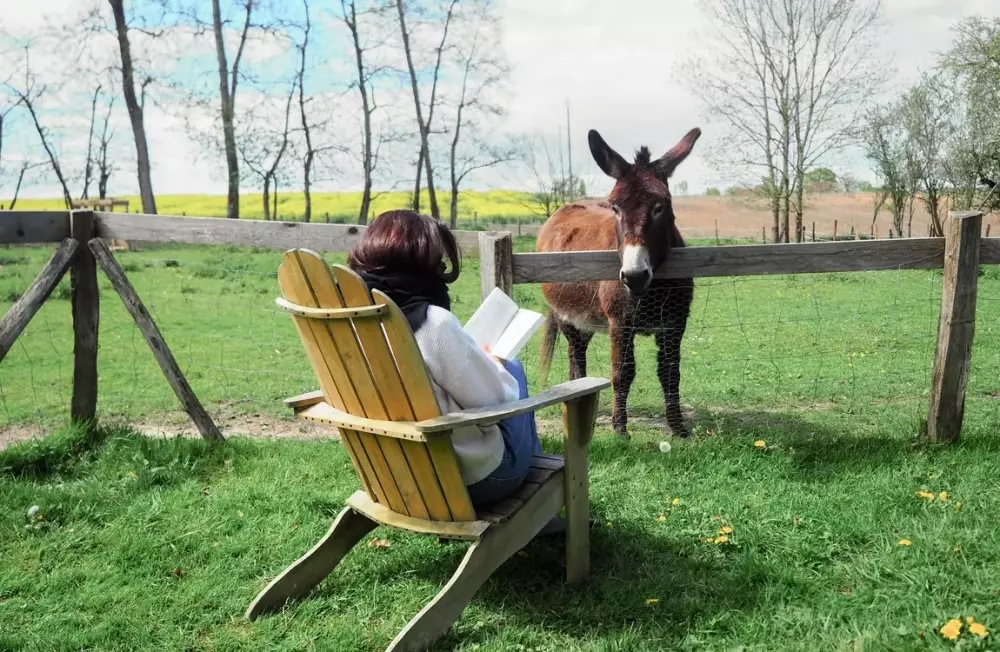 The Hays Ark - Parcel Tiny House