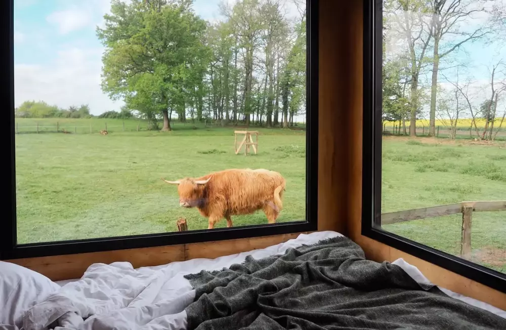 The Hays Ark - Parcel Tiny House