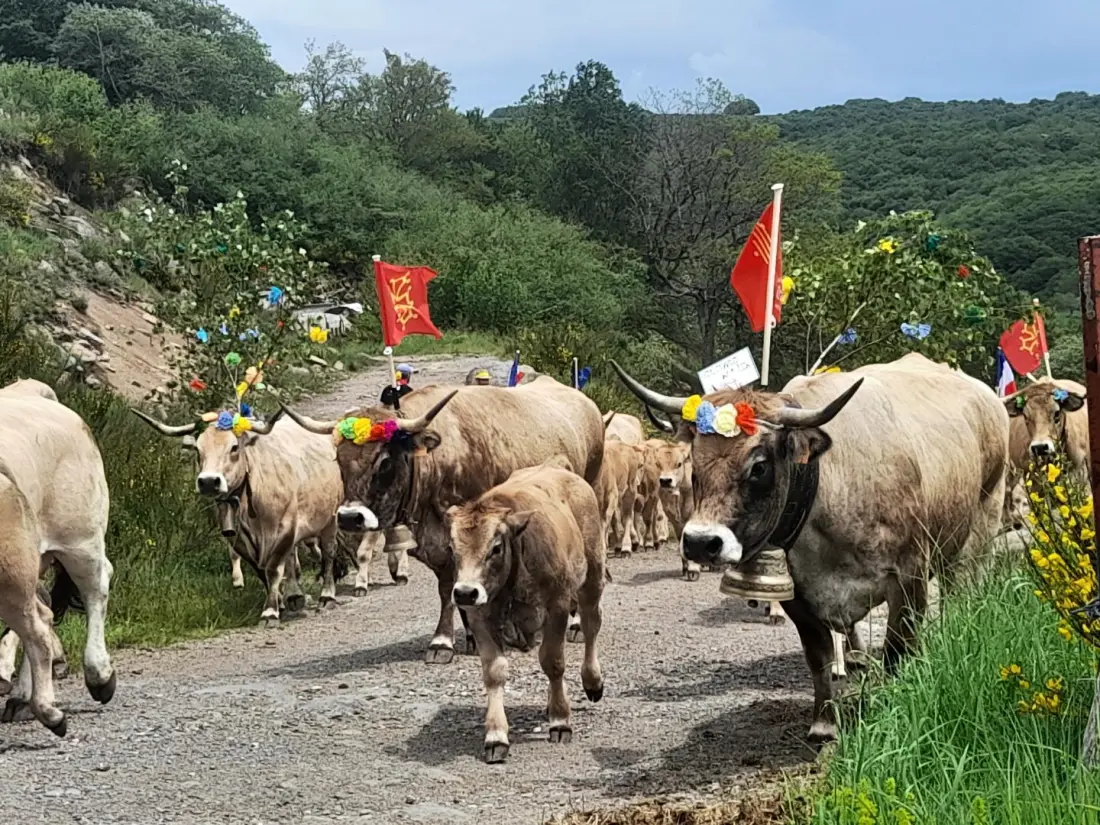 Gîte de France Bon Aubrac für 12 Personen 2 Ähren