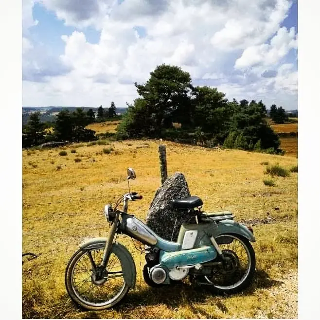 Gîte de France Gîte lozère blau 12 Personen 3 Ohren