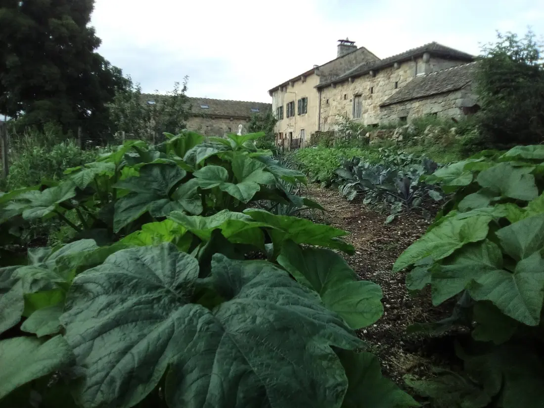 Gîte de France Gîte lozère blau 12 Personen 3 Ohren
