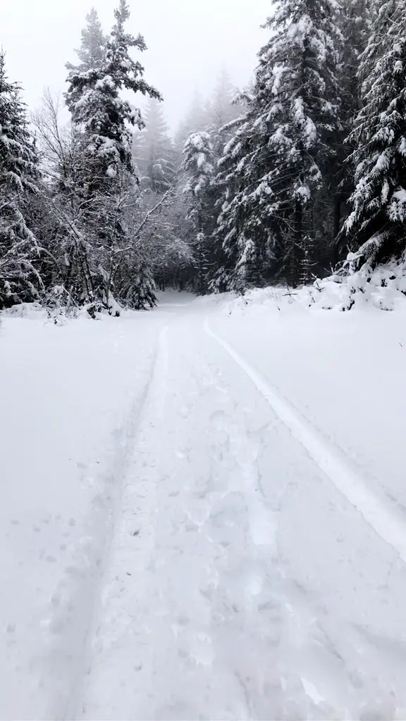 Gîte de France Die Flucht der Lozere 3 Ohren