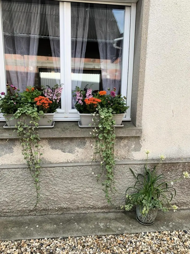 Gîte de France Gîtes de france® - au p'tit herceg d'etretat 2 fül