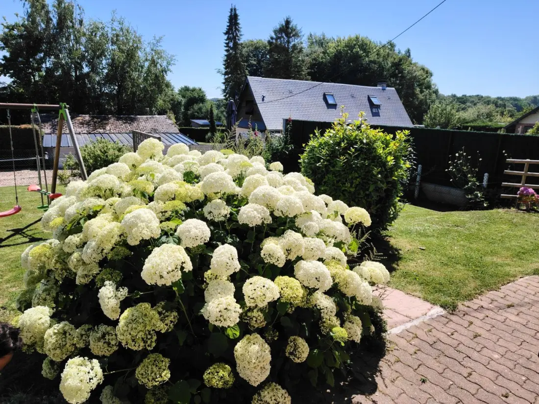 Gîte de France Gîtes de france® - Beech 3 fül