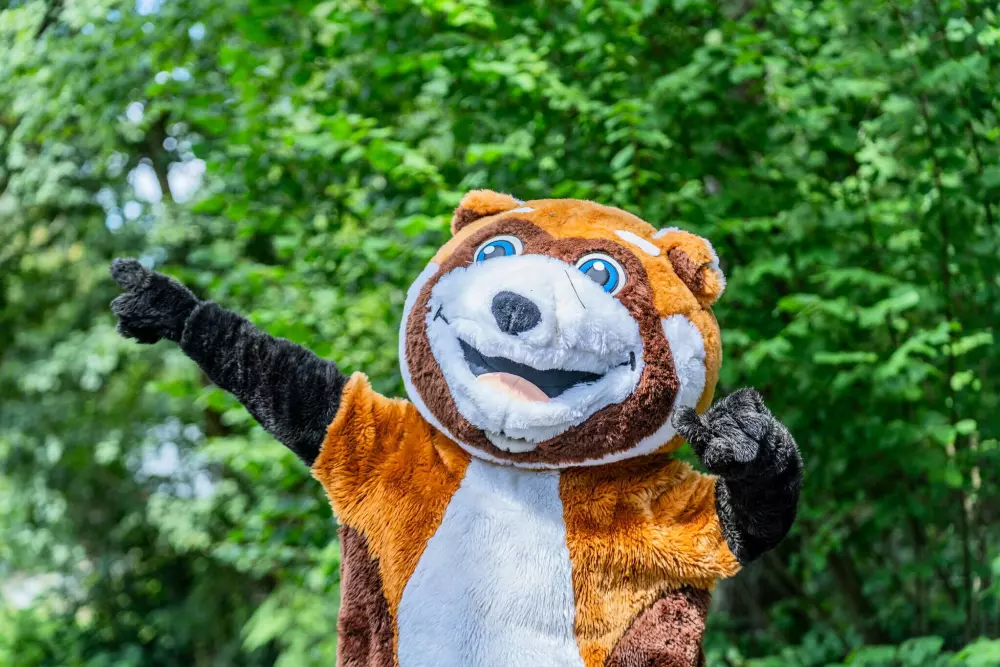 Camping Lac des Vieilles Forges