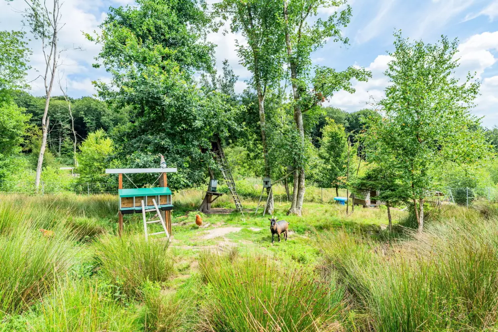 Camping Lac des Vieilles Forges