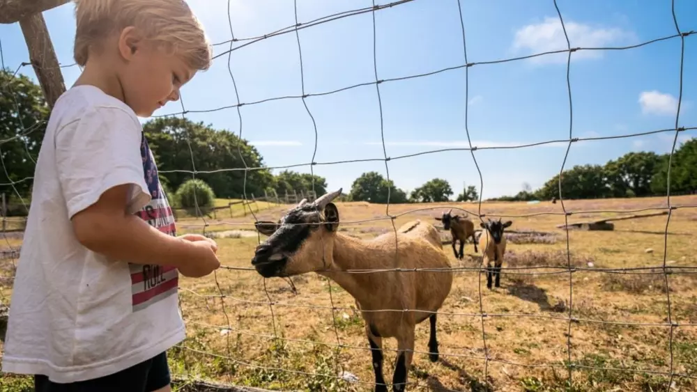 Campingplatz Les Brillas 3 Sterne★★★