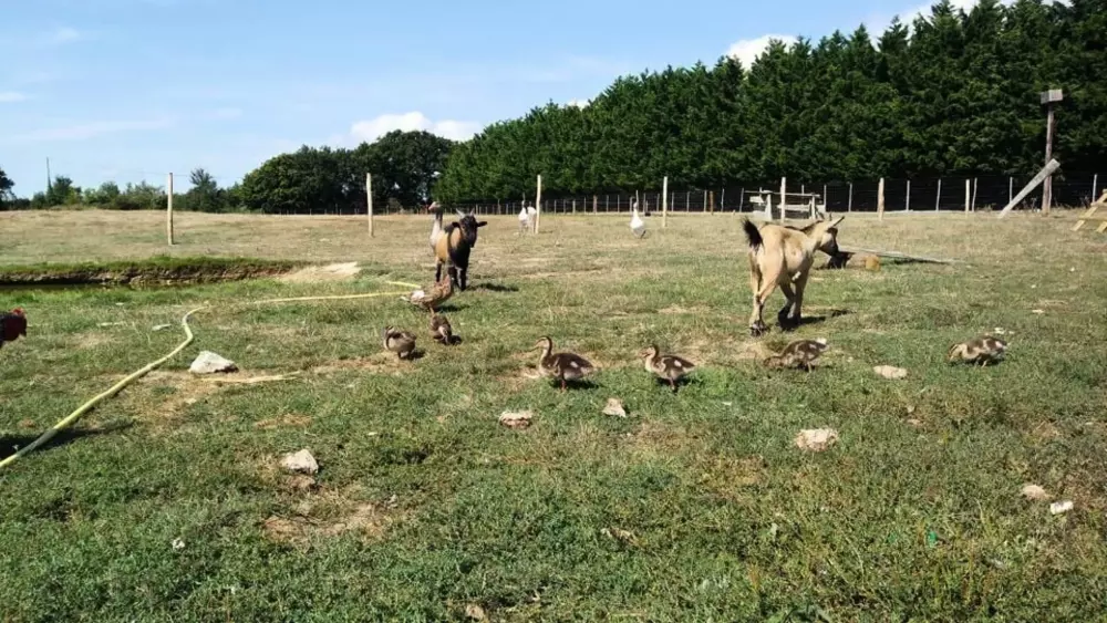 Campingplatz Les Brillas 3 Sterne★★★