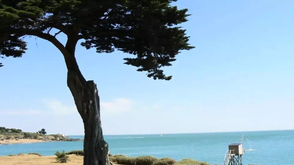 Campingplatz Les Brillas 3 Sterne★★★