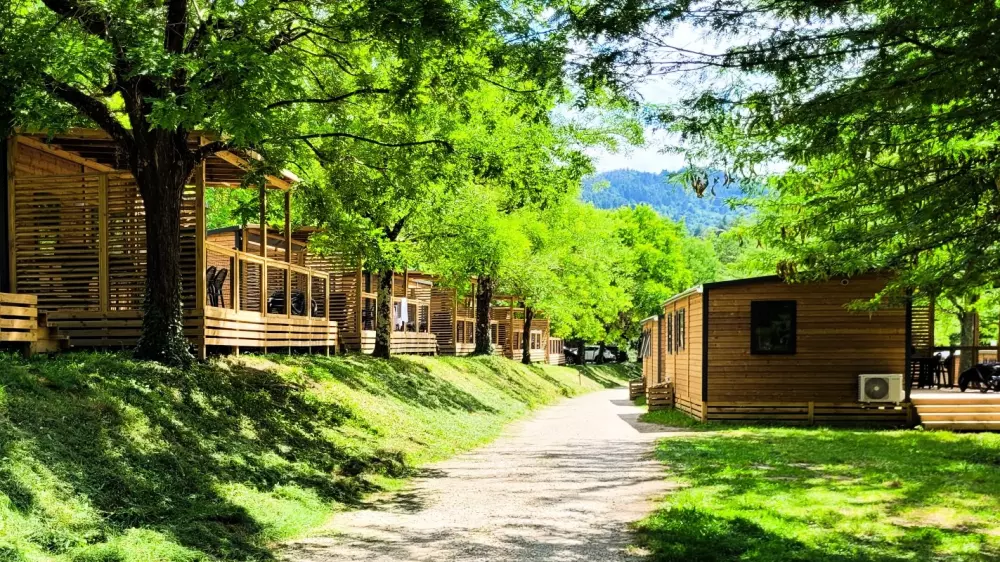 Kwiat Camping Mas de Champel 4 Gwiazdy★★★★ 4 Gwiazdy★★★★ 4 Gwiazdy★★★★ 4 Gwiazdy★★★★