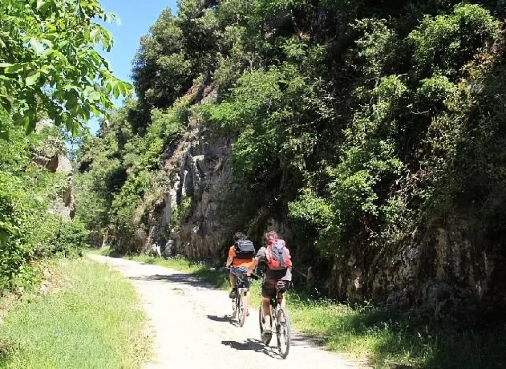 Kwiat Camping Mas de Champel 4 Gwiazdy★★★★ 4 Gwiazdy★★★★ 4 Gwiazdy★★★★ 4 Gwiazdy★★★★